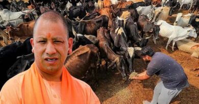 योगी सरकार की ‘नन्दिनी कृषक समृद्धि योजना’ से डेयरी सेक्टर में आ रही नई क्रांति