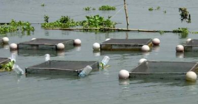 अम्बिकापुर : मत्स्य पालन हेतु जलाशयों का 10 वर्षीय लीज आबंटन के लिए आवेदन आमंत्रित