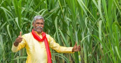 योगी सरकार में गन्ना किसानों की आय 52 हजार से बढ़कर 1.20 लाख रुपये हुई: कृषि मंत्री