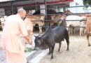 सीएम योगी के निर्देश पर चार बड़ी महत्वाकांक्षी योजनाएं पूरे प्रदेश में लागू, ग्रामीण अर्थव्यवस्था को मिलेगी नई ताकत
