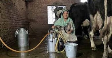 पिपरवार में 300 किसानों और महिला पशुपालकों ने बनाई नई प्रोड्यूसर कंपनी