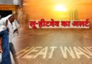 MP में भीषण गर्मी का कहर, जानवरों के लिए लगाए कूलर-ग्रीन नेट; 6 जिलों में हीटवेव अलर्ट