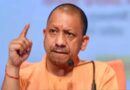 यूपी की ‘गो-इकोनॉमी’ बनी वैश्विक मॉडल: देशी गायों से 10 करोड़ का कारोबार और विदेशों में बढ़ी मांग