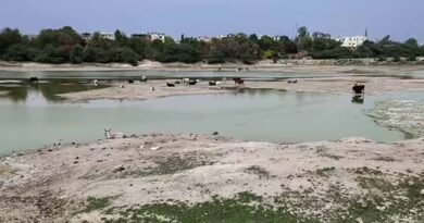 संजय झील में सैकड़ों मछलियों की मौत, पानी की आपूर्ति बाधित होने से बिगड़ा हालात