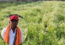 महासमुंद के किसान रतिराम की बदली किस्मत, धनिया की खेती से बढ़ी आमदनी