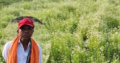 महासमुंद के किसान रतिराम की बदली किस्मत, धनिया की खेती से बढ़ी आमदनी
