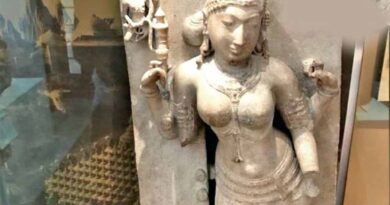वाग्देवी मूर्ति पर धार सांसद का बड़ा दावा, ब्रिटिश म्यूजियम लौटाने को था तैयार वाग्देवी मूर्ति पर धार सांसद का बड़ा दावा, ब्रिटिश म्यूजियम लौटाने को था तैयार