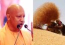 प्रदेश में गेहूं खरीद ने पकड़ी रफ्तार, 28 अप्रैल तक 6.10 लाख मीट्रिक टन गेहूं की खरीद