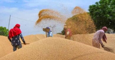 मध्यप्रदेश ने गेहूं उपार्जन में नया रिकॉर्ड बनाया : मुख्यमंत्री डॉ. यादव