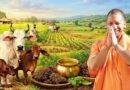 गौ संरक्षण बना यूपी की नई ताकत, योगी सरकार ने ग्रामीण अर्थव्यवस्था को दी जबरदस्त रफ्तार