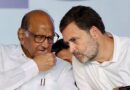 कांग्रेस में होगा शरद पवार की NCP(SP) का विलय? हाईकमान के प्रस्ताव से सियासत गरम, पार्टी में बढ़ी कलह कांग्रेस में होगा शरद पवार की NCP(SP) का विलय? हाईकमान के प्रस्ताव से सियासत गरम, पार्टी में बढ़ी कलह