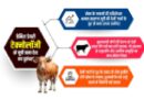 डेनिश डेयरी टेक्नोलॉजी से देसी गायों के दूध के उत्पाद बना यूपी बना देश का ‘धुरंधर’