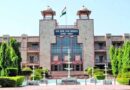 पेड़ काटने पर सख्ती! HC में पेश हुई ट्री ट्रांसलोकेशन पॉलिसी-2026, एक पेड़ के बदले लगाने होंगे 20 पौधे