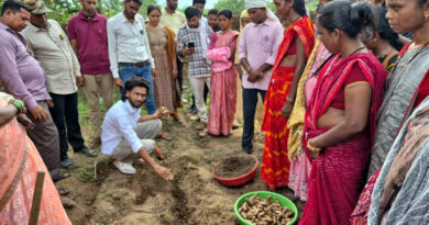 ​धमतरी का ‘नगरी’ बनेगा हल्दी उत्पादन का नया हब: 250 किसानों ने थामा वैज्ञानिक खेती का हाथ, 250 टन पैदावार का लक्ष्य