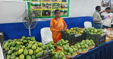 रांची में नाबार्ड आम महोत्सव शुरू, आदिवासी किसानों के ऑर्गेनिक आमों की धूम