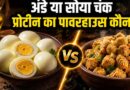 अंडा vs सोया चंक्स: प्रोटीन के मामले में कौन है ज्यादा फायदेमंद, जानिए एक्सपर्ट्स की राय