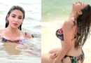 Beach पर बिकिनी लुक में छाईं नायरा बनर्जी, भीगी जुल्फों और ग्लैमरस अंदाज ने बढ़ाया इंटरनेट का पारा