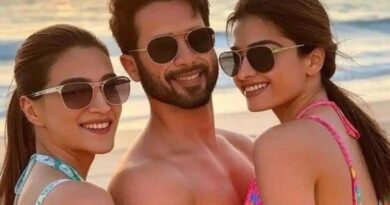 ‘कॉकटेल 2’ रिलीज के साथ ही छाई, शाहिद-कृति-रश्मिका की फिल्म को मिल रहे पॉजिटिव रिव्यू