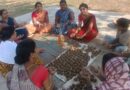 सीड बॉल बनाकर प्रकृति संरक्षण की अनूठी पहल, हरित जशपुर के निर्माण पर जोर