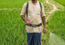 दीनदयाल भूमिहीन कृषि मजदूर कल्याण योजना में पात्र परिवारों को मिलेगी ₹10 हजार की सहायता