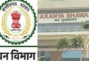 छत्तीसगढ़ वन विभाग में बड़ा फेरबदल, चार वरिष्ठ IFS अधिकारियों को मिली नई जिम्मेदारी
