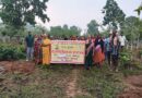 जशपुर की सभी ग्राम पंचायतों में रोजगार दिवस का आयोजन, मनरेगा से रोजगार और विकास को मिली नई गति