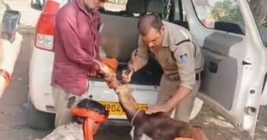 गुना के डायल-112 हीरोज घायल हिरण के शावक को सुरक्षित वन विभाग के सुपुर्द किया
