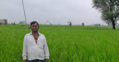 गलत धान बीज से किसानों की लाखों की फसल चौपट, फर्म संचालक पर कार्रवाई की मांग