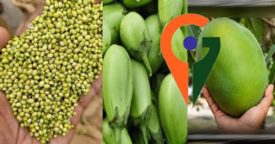 देश में पहली बार एक साथ 12 उद्यानिकी फसलों को म‍िला जी आई टैग