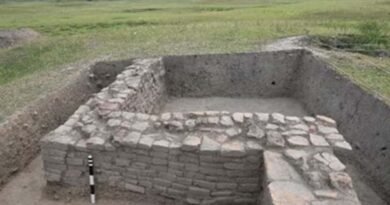 मधुबनी के बलिराजगढ़ में बड़ी खोज, खुदाई में मिले प्राचीन अवशेष और संरचनाएं