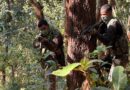 झारखंड में माओवादियों पर बड़ा प्रहार, अब सिर्फ 32 इनामी नक्सली बाकी