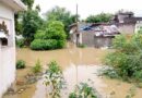 CG Flood: महानदी की बाढ़ से गांव जलमग्न, SDRF ने 6 लोगों को सुरक्षित निकाला