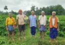 लैलूंगा के पाकरगांव के सुगंधित जवांफूल चावल की खुशबू पहुंच रही मुख्यमंत्री निवास तक