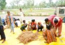 सुकमा में मशरूम उत्पादन का प्रशिक्षण बना आत्मनिर्भरता की नई राह