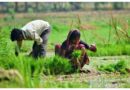 झारखंड में किसानों के लिए बड़ा फैसला, भूमि संरक्षण योजनाओं पर मंत्री ने दिखाई सख्ती