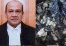 जस्टिस वर्मा से पूछे गए पैसों पर सवाल, न ठीक से जवाब दे पाए न रकम बता पाए; जांच रिपोर्ट में बड़ा खुलासा