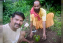 प्रदेश प्रवक्ता बालकिशन विश्वकर्मा ने आम के वृक्ष छतरपुर में लगाए