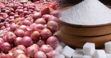 Onion Price Hike: चीनी के बाद अब प्याज ने रुलाया, कीमतों में अचानक तेज उछाल Onion Price Hike: चीनी के बाद अब प्याज ने रुलाया, कीमतों में अचानक तेज उछाल