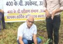 विश्व प्रकृति संरक्षण दिवस पर एमपी ट्रांसको के सब-स्टेशन में हुआ सामूहिक पौध-रोपण