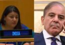 UN में भारत का पाकिस्तान को करारा जवाब, पेटल गहलोत बोलीं- आतंकवाद के गंभीर परिणाम होंगे