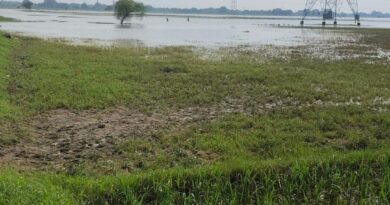 बाढ़ में फसल बर्बाद होने पर बीमा कंपनी ने रोका दावा, किसान को मिलेंगे 1.48 लाख से अधिक