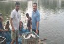 0.40 हेक्टेयर में गुलाब पटेल ने लिखा मछली पालन से समृद्धि का नया अध्याय
