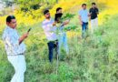महिलाओं ने संवारा हरित अभियान, 2170 पौधों की अब जियो ट्रैकिंग से होगी निगरानी