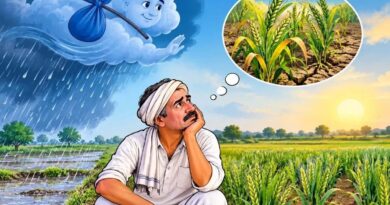 खंडवा में औसत से 100 मिमी कम बारिश, रबी फसल पर मंडराया सिंचाई संकट