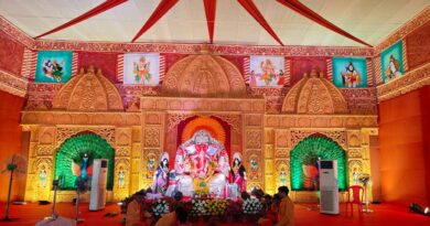 आंध्र प्रदेश में गणेश पंडालों की बिजली फ्री! सरकार ने किया बड़ा ऐलान, हजारों आयोजकों को मिलेगा फायदा