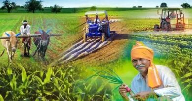 बिहार के DMI पटना के छात्र पंजाब के गांवों में सीखेंगे विकास प्रबंधन के गुर, चार हफ्ते रहेगा प्रवास