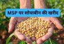 सोयाबीन उपार्जन के लिए किसानों का पंजीयन 3 से 17 अक्टूबर तक